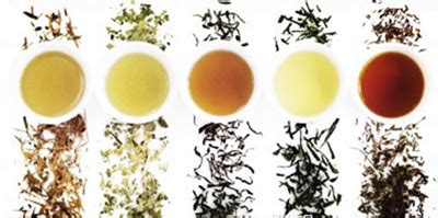 中国有哪些著名茶叶品牌或代表性茶庄,绿茶评审外形25%如何划分