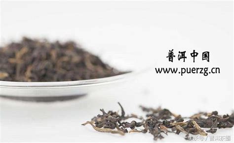 云南普洱茶源生产地有哪些,所产普洱茶好喝吗