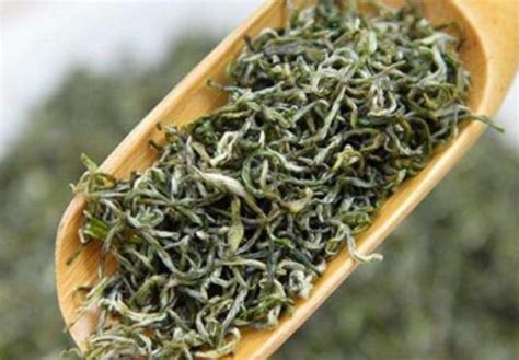 中国茶叶种植分布什么地方,茶叶在什么地方能种