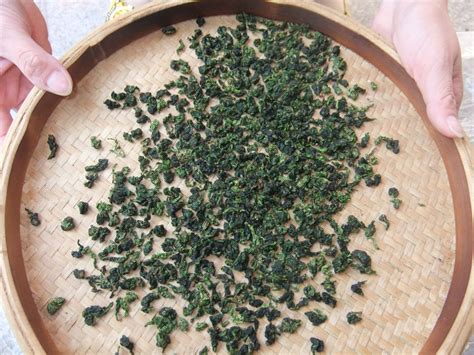 中国十大绿茶排名,绿茶跟铁观音哪个提神