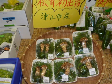 中国产松茸在日本大涨30% 出口日本松茸减少
