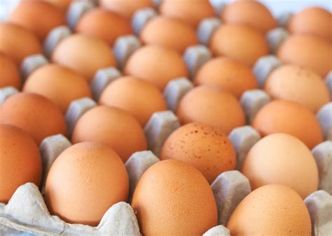 大量鸡蛋怎么保鲜,鸡蛋怎么存放保鲜