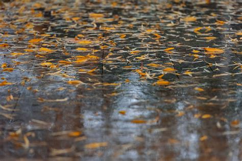 秋雨意境很深的文案