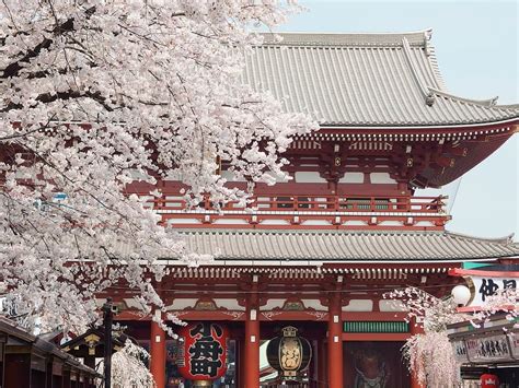 为什么到日本，一定要去日本的寺庙？