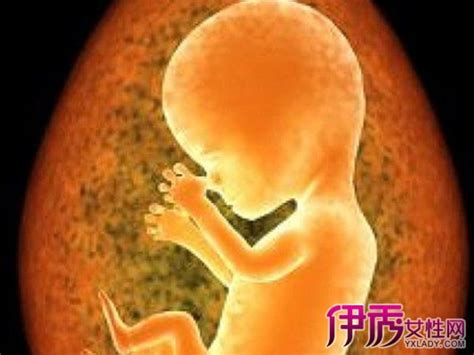 怀孕两个月胎儿有多大
