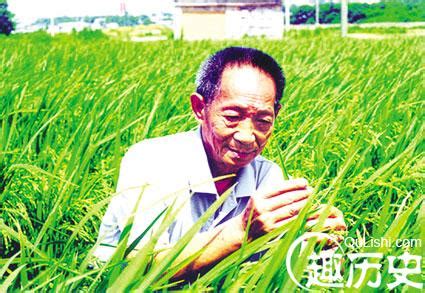 袁隆平杂交水稻上哪里可以买得到,市场上哪里可以买到