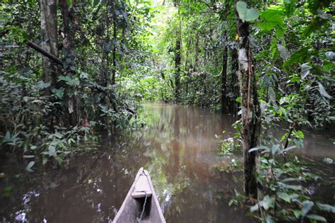 全球最大热带雨林--亚马逊雨林