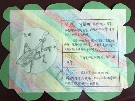 昆虫记-读后感200字（通用6则）