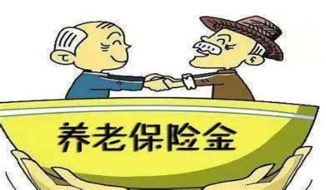 怎么查个人养老保险帐户？