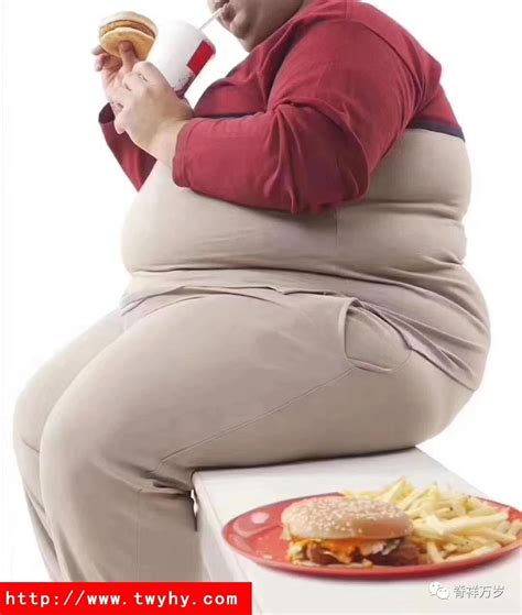 女人为什么容易肥胖