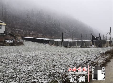 三月份什么地方还下雪