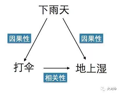 父母会对双胞胎的一个偏心