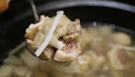 广东煲汤食谱,都说广东炖汤做法很出名