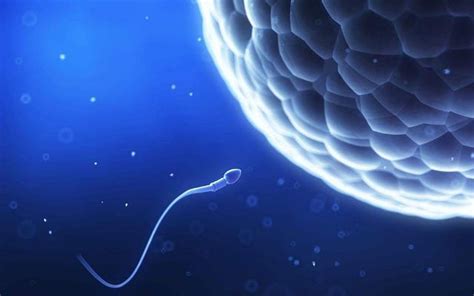 男性精子活跃度低会怀孕吗