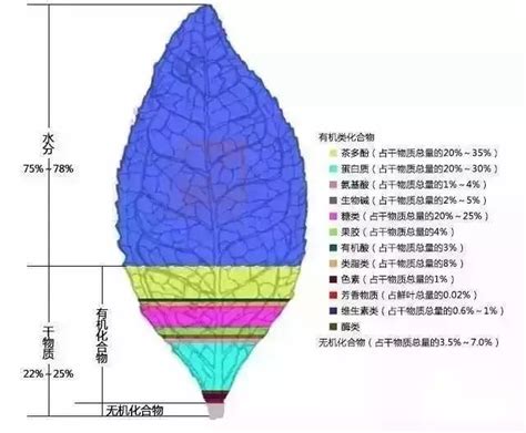 发现有部分茶叶碎,碎茶叶会有什么影响吗