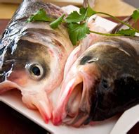 鱼的做法及营养价值,鱼怎么吃更有营养价值