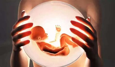 怀孕2个月胎儿真实图片