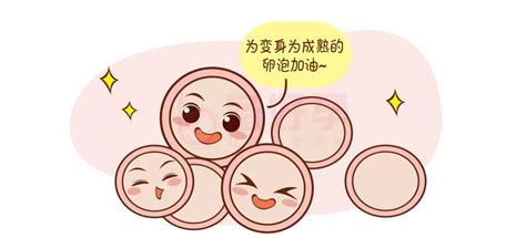 排卵期出血怎么回事呀能同房吗