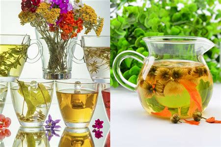 各种花茶的功效有哪些,不妨多喝4种花茶