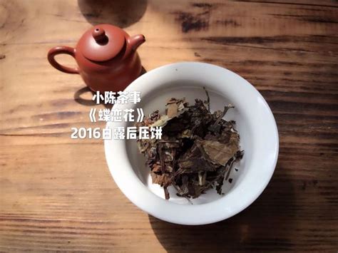 茶饼 茶坨茶砖哪个好,普洱茶散茶和紧压茶哪个好喝