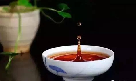 早上喝什么茶解酒,喝什么茶解酒最好