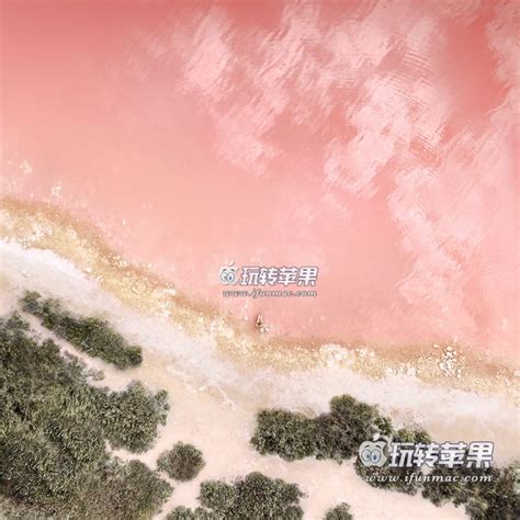 壁纸2022新款风景