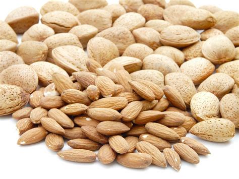 苦杏仁和甜杏仁的区别