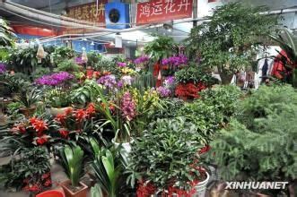 济南市区哪有花卉市场?