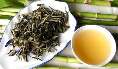 白茶属于什么什么茶种,开化白茶什么什么茶