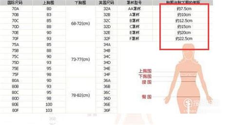 内衣的A B C D罩杯是怎么区分的呢???嘿嘿!!!我太笨了,不会看那个...