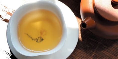 高性价比白茶囤茶小合集,福鼎白茶为什么没保质期