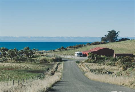 【新西兰南岛第七天】蓝企鹅保护中心