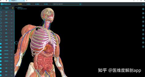 8个最怪异古老的解剖模型是什么？