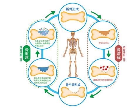 怀孕能吃骨质疏松钙片吗