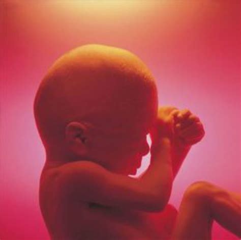 宫内缺氧的宝宝测胎心