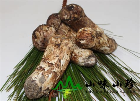 鲜松茸炖山药板栗茴香 过年必吃的蒸菜