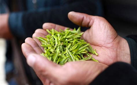 茶叶销售的成功案例有哪些,中国茶在世博会上有哪些经典案例