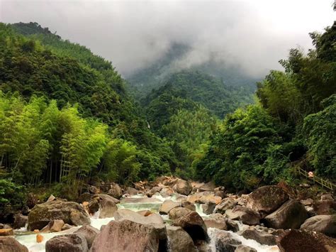 桂林游览记200字（合集5则）