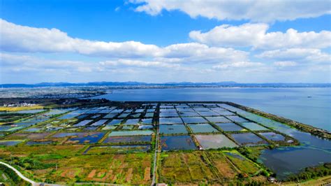 中國比較大的海水水產養殖場都在哪?