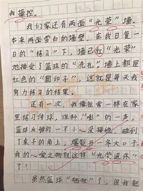 烟花-小学生写物作文300字(精选6篇)