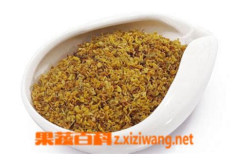 怎么制作蒲公英茶,鲜桂花怎么做成茶叶