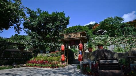深圳的青青世界有什么