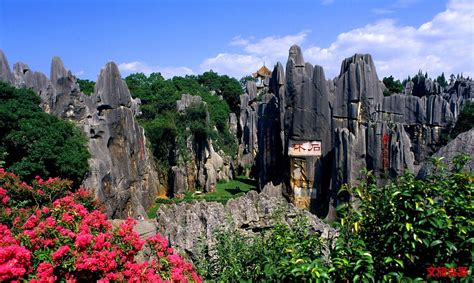 著名岩溶峰林景区石林位于云南省路南什么少数民族自治县?