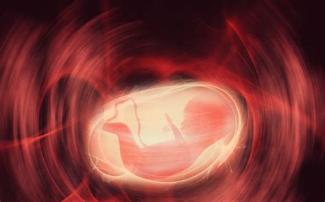 如果胚胎停止发育会有什么症状