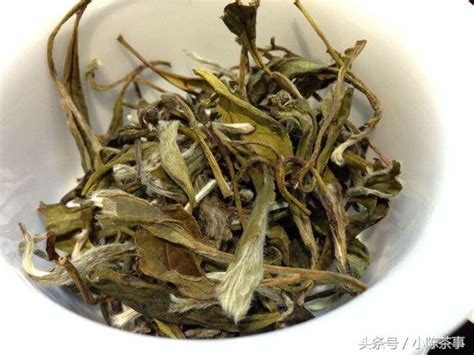 小青肝是什么茶,打造鲨鱼宠粮圈粉95后养宠人