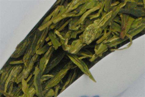 日照绿茶是什么茶种,号称江北第一茶的日照绿茶