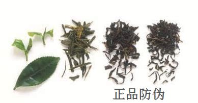 烟酒茶叶属于什么分类,茶叶根据什么来分类