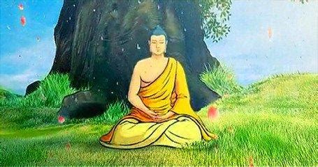 茶之三德指的是什么,佛教茶三德是什么