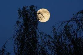 关于太阳星星和月亮的诗,月上柳梢头月亮什么形状