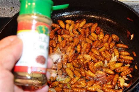 蚕蛹怎么做好吃又营养,厨师长做的干煸蚕蛹